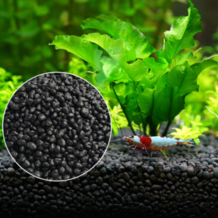 Aquarium Plant Grass - Semillas de plantas de Acuario, sustrato