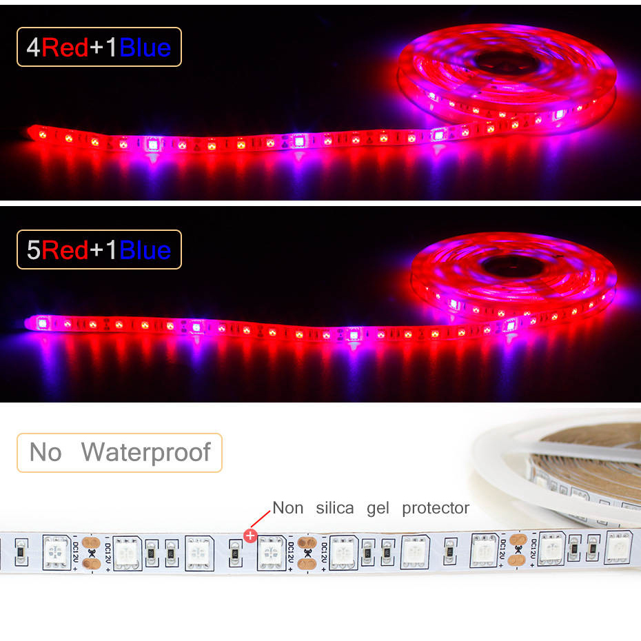 Luz LED de Cultivo de 1M 2M 3M - Aquarium Plant Echinodorus reseña y precio