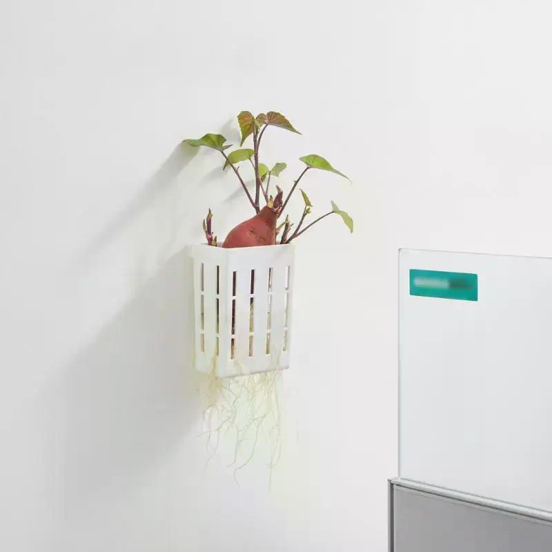 1 unidad de cesta de soporte h - Aquarium Plant Grass reseña y precio