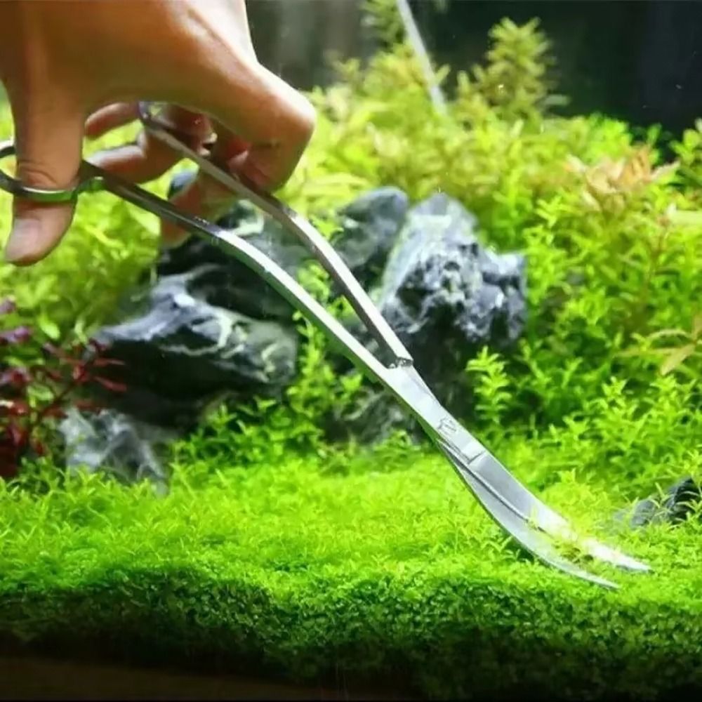 Tijeras para Acuario de Acero  - Aquarium Plant Grass reseña y precio