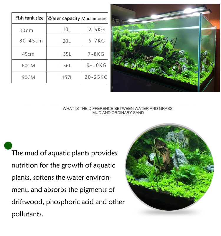 Semillas de plantas de Acuario - Aquarium Plant Grass reseña y precio