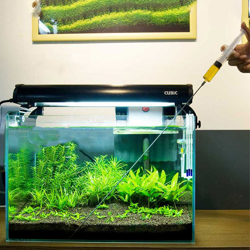 30cm 50cm plantas de acuario c - Aquarium Plant Grass reseña y precio